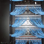 Bundles of plugged in blue structured cabling