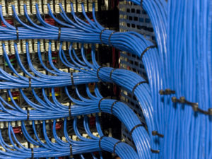 An organized set of blue structured cabling